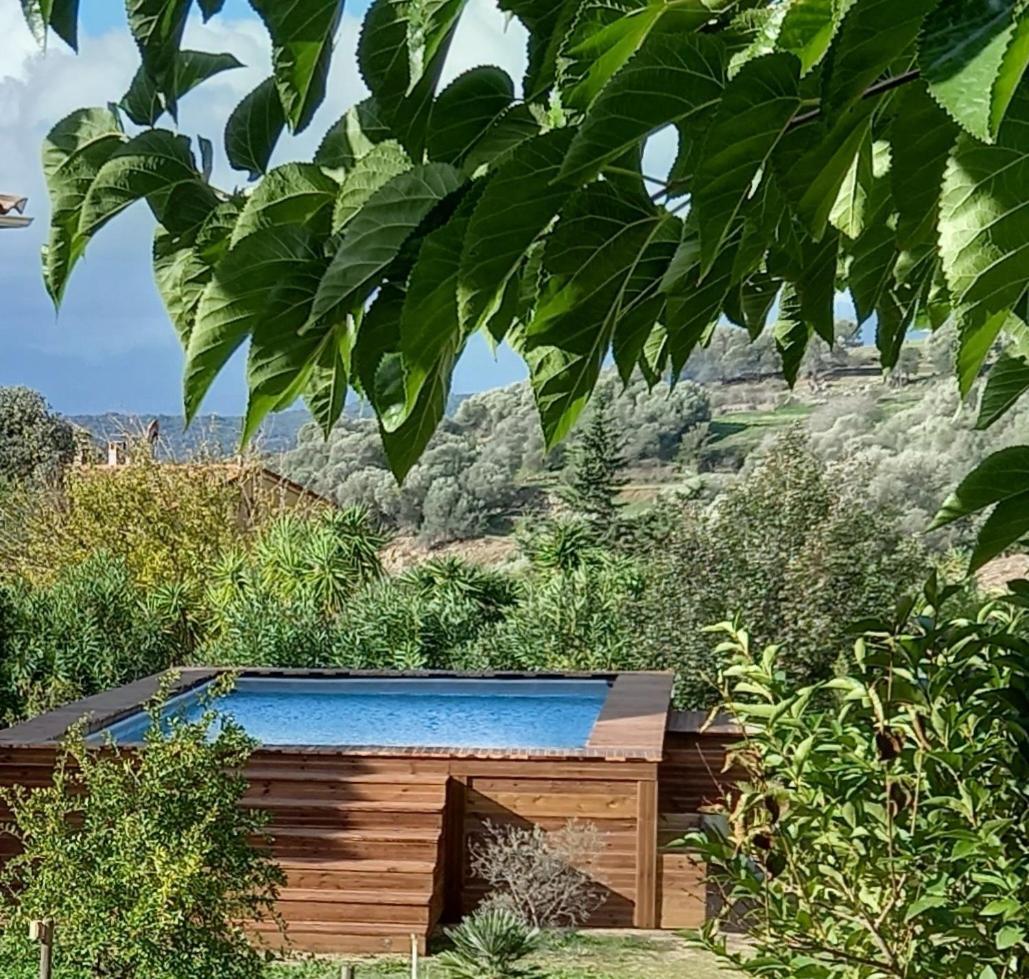 U Mandarinu Vakantiehuis